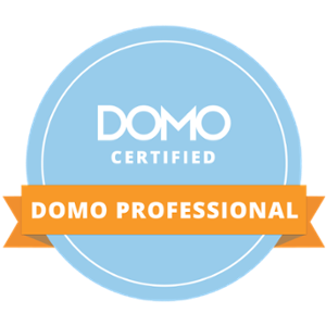 Domo analytics partner support